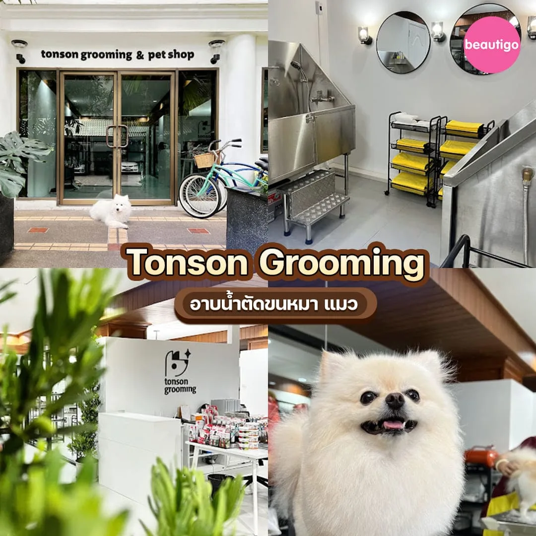 ร้านอาบน้ำตัดขน Tonson Grooming อาบน้ำหมาแมว