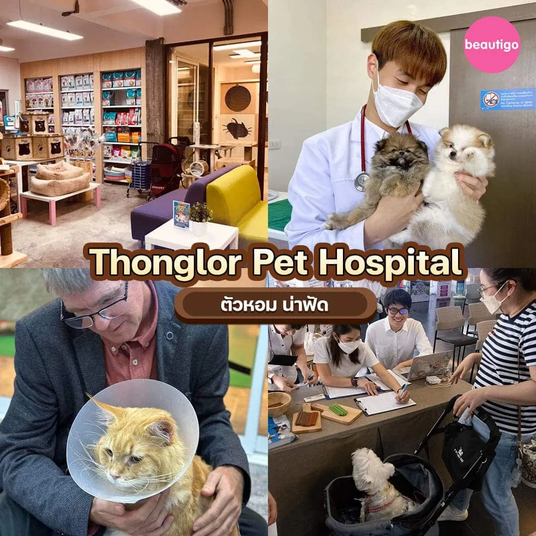ร้านอาบน้ำตัดขน Thonglor Pet Hospital