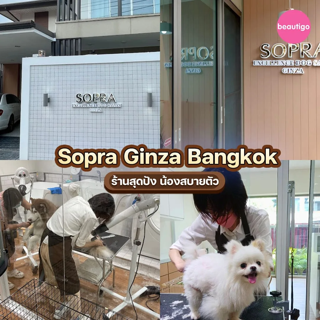 ร้านอาบน้ำตัดขน Sopra Ginza Bangkok