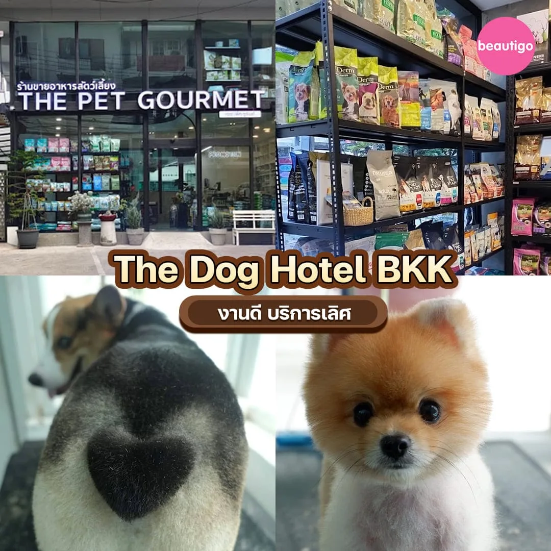 ร้านอาบน้ำตัดขน The Dog Hotel BKK อาบน้ำหมา อาบน้ำแมว