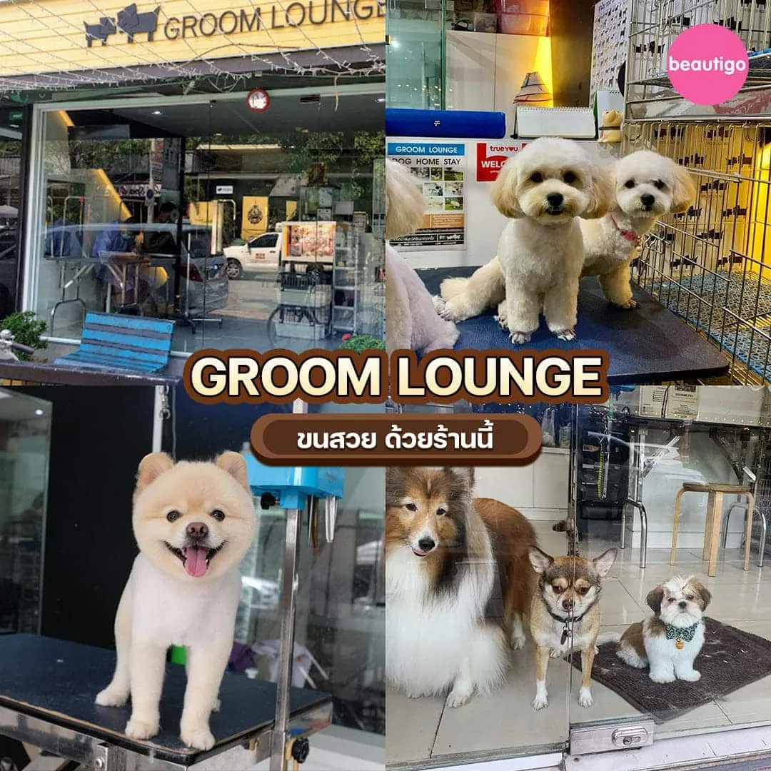 ร้านอาบน้ำตัดขน GROOM LOUNGE อาบน้ำสุนัข
