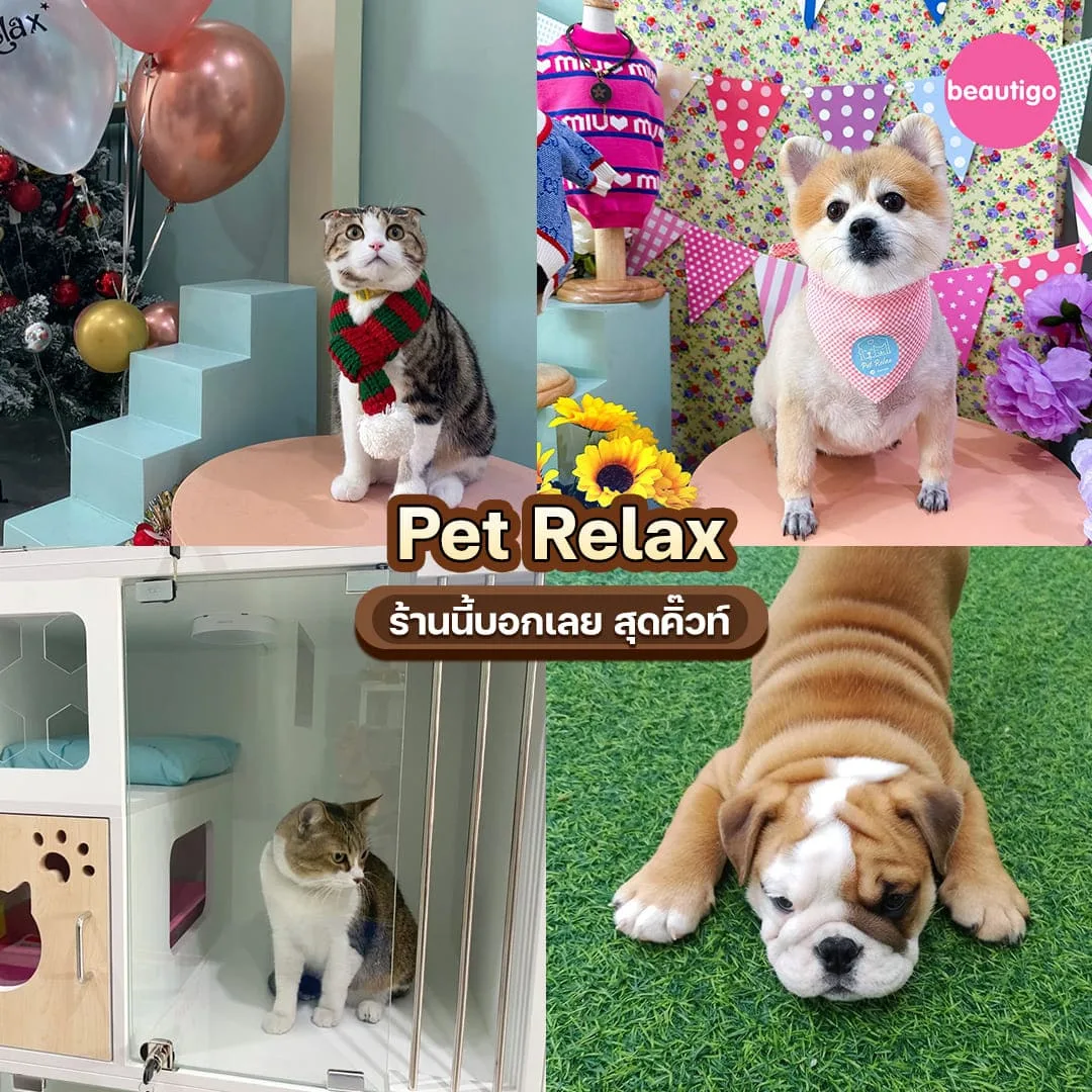 ร้านอาบน้ำตัดขน Pet Relax ตัดขนหมา แมว