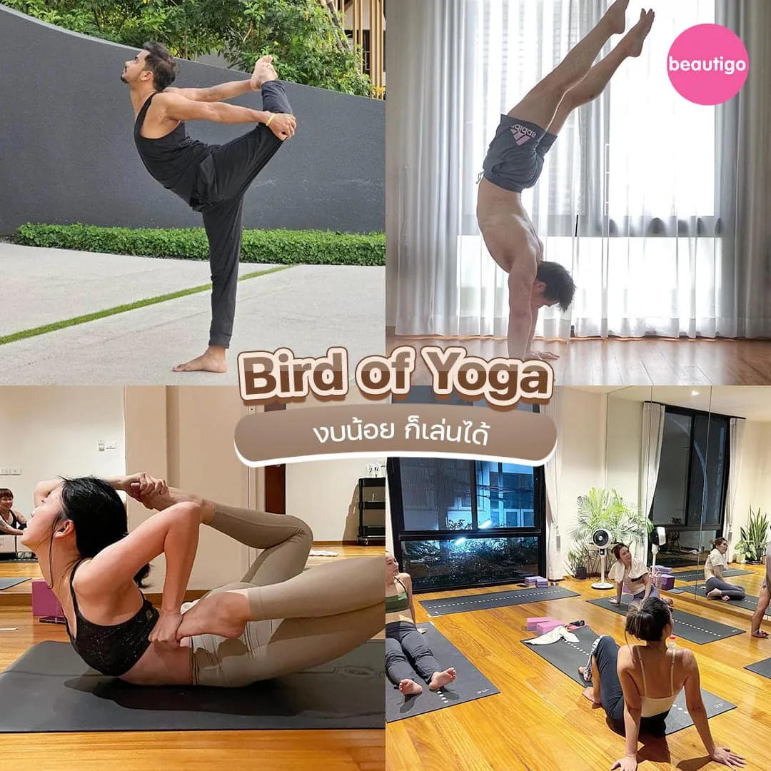 เรียนโยคะ @Bird of Yoga