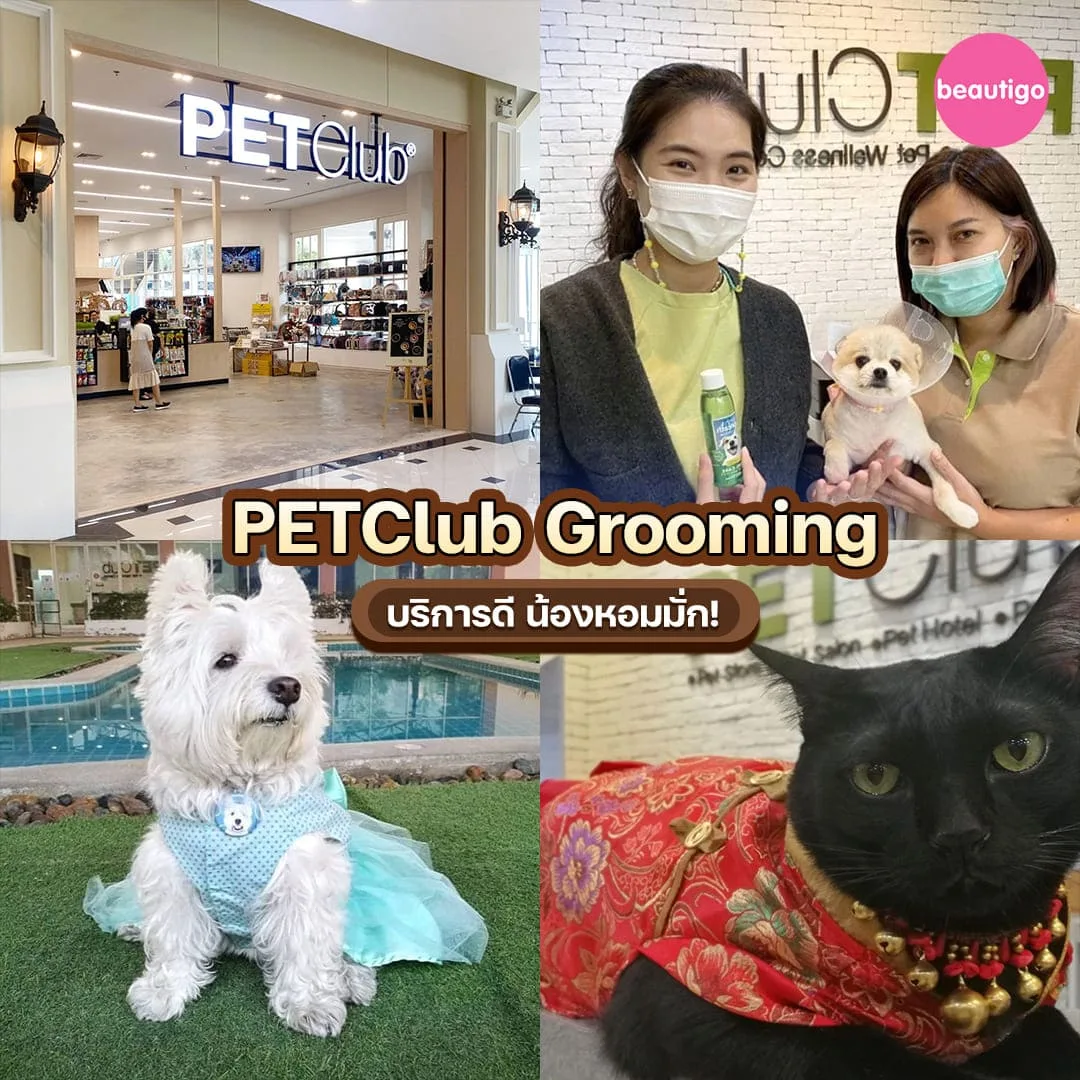 ร้านอาบน้ำตัดขนหมา แมว PETClub Grooming