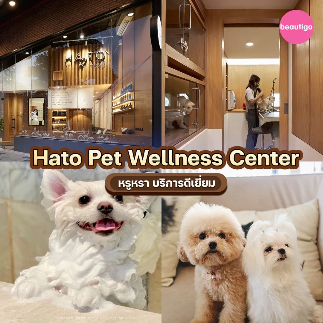 ร้านอาบน้ำตัดขน Hato Pet Wellness Center อาบน้ำตัดขนหมา แมว